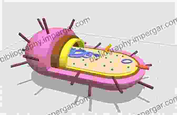 3D Model Of A Prokaryotic Protein Complex Complex Intracellular Structures In Prokaryotes (Microbiology Monographs 2)