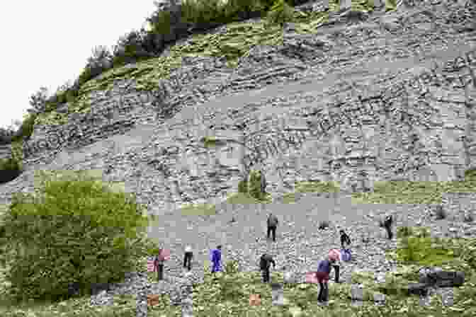 A Group Of People Searching For Fossils In A Rocky Outcrop. Discovering Fossils: How To Find And Identify Remains Of The Prehistoric Past (Fossils Dinosaurs)