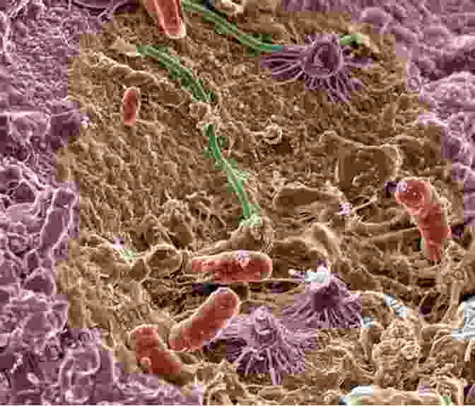 A Microscopic Image Of Diverse Soil Microbes Illustrating The Vibrant Soil Biology Soil Health Soil Biology Soilborne Diseases And Sustainable Agriculture: A Guide