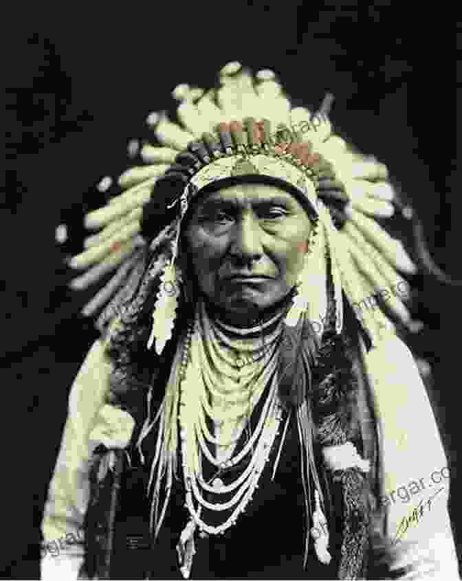 A Portrait Of A Native American Chief From The Colonial Era American Apartheid: The Native American Struggle For Self Determination And Inclusion