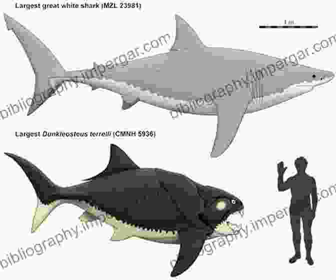 A Scientifically Accurate Reconstruction Of A Placoderm, Depicting Its Formidable Armor And Menacing Jaws, Providing A Glimpse Into The Grandeur Of These Ancient Marine Predators. Across The Bridge: Understanding The Origin Of The Vertebrates