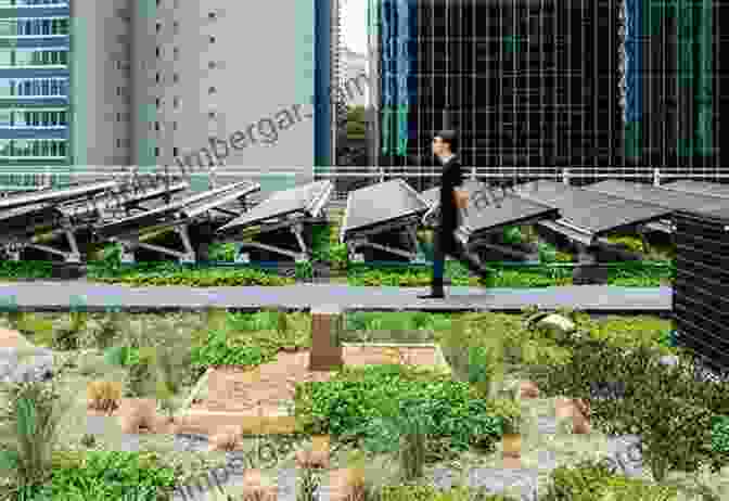 A Sustainable Building With A Green Roof And Solar Panels Environmental Design Sourcebook: Innovative Ideas For A Sustainable Built Environment