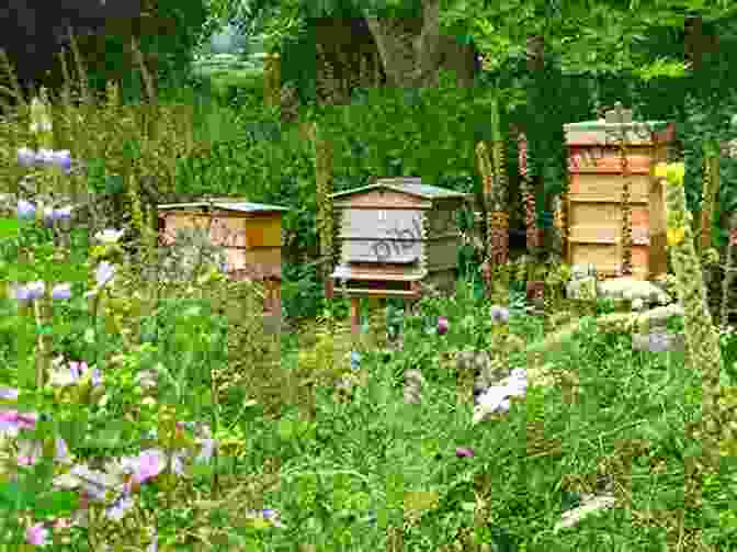 A Thriving Beehive Surrounded By A Verdant Landscape Filled With Colorful Wildflowers Plants And Beekeeping An Account Of Those Plants Wild And Cultivated Of Value To The Hive Bee And For Honey Production In The British Isles