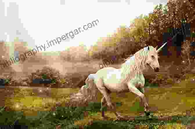 A Young Girl, Mia Rose, Standing In A Field With A Majestic Unicorn The Story Of Mia Rose