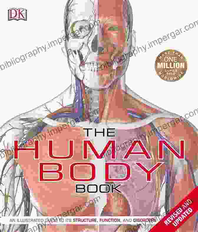 Alphabet Of The Human Body Book Cover Alphabet Of The Human Body: Helping Children Learn Important Parts Of The Human Body