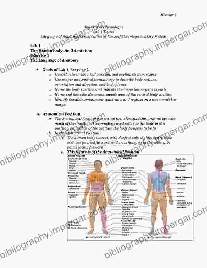 Anatomy And Physiology Section Neurosurgery: Board And Certification Review