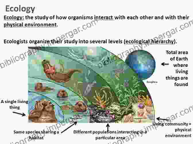 Animals Interacting Within Their Natural Ecosystem Principles Of Animal Behavior 4th Edition