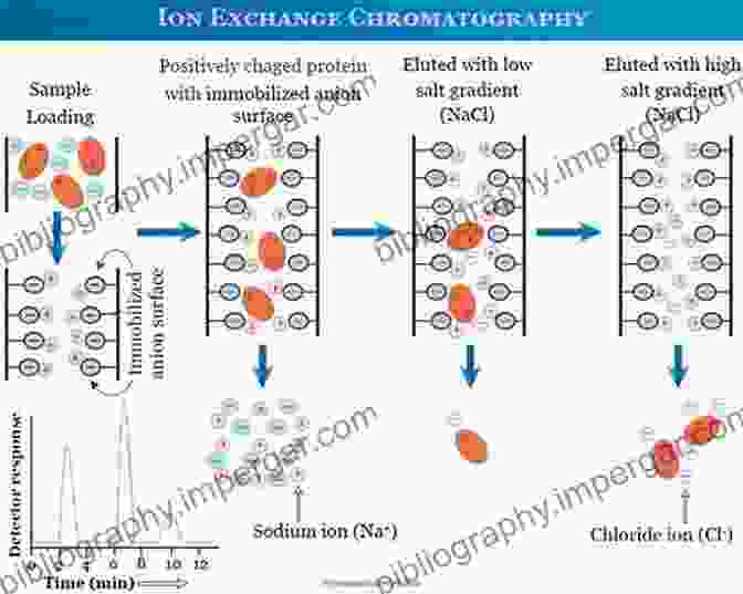 Applications Of Ions In Solution Ions In Solution And Their Solvation