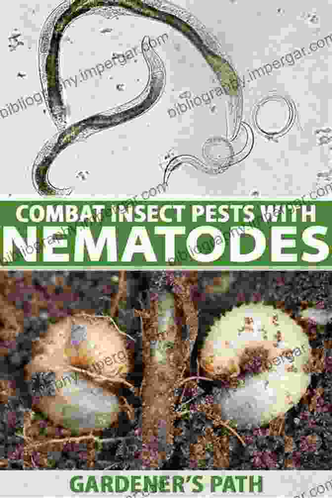 Beneficial Organisms Attacking Plant Parasitic Nematodes Biological Control Of Plant Parasitic Nematodes:: Building Coherence Between Microbial Ecology And Molecular Mechanisms (Progress In Biological Control 11)