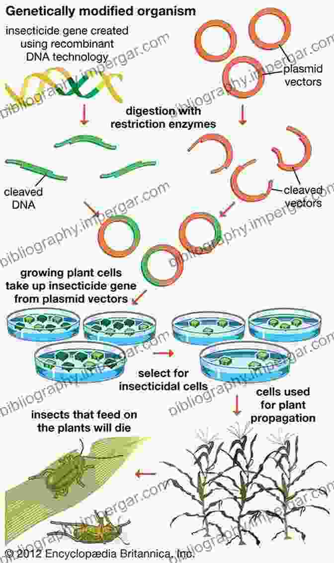 Biotechnology Develops Genetically Modified Crops And Other Biological Solutions To Improve Agricultural Productivity And Disease Resistance. Underexploited Spice Crops: Present Status Agrotechnology And Future Research Directions (Innovations In Horticultural Science)