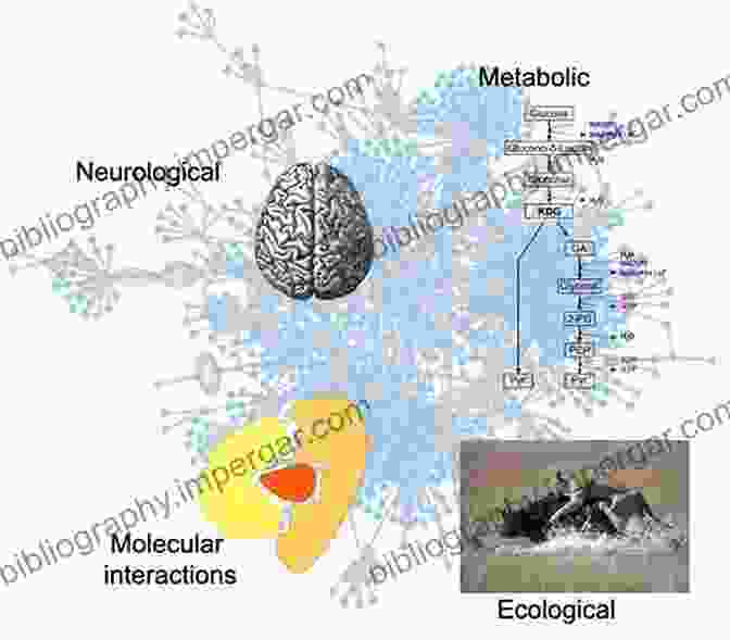 Computational Systems Biology: Analyzing Complex Biological Networks An To Computational Systems Biology: Systems Level Modelling Of Cellular Networks (Chapman Hall/CRC Computational Biology Series)