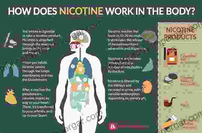 Depiction Of Nicotine Receptors In The Brain The Neurobiology And Genetics Of Nicotine And Tobacco (Current Topics In Behavioral Neurosciences 23)