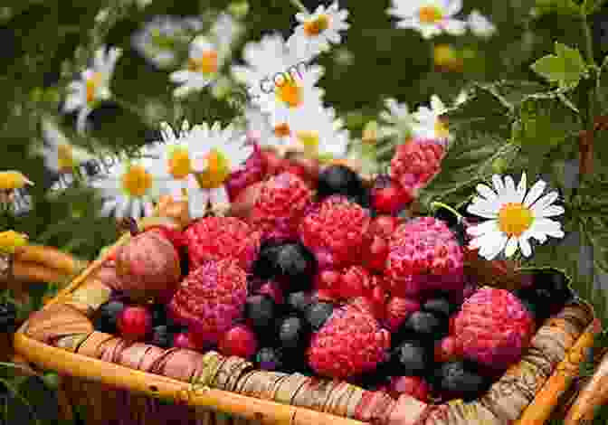 Freshly Harvested Berries, Currants And Gooseberries In A Basket Small Fruits In The Home Garden