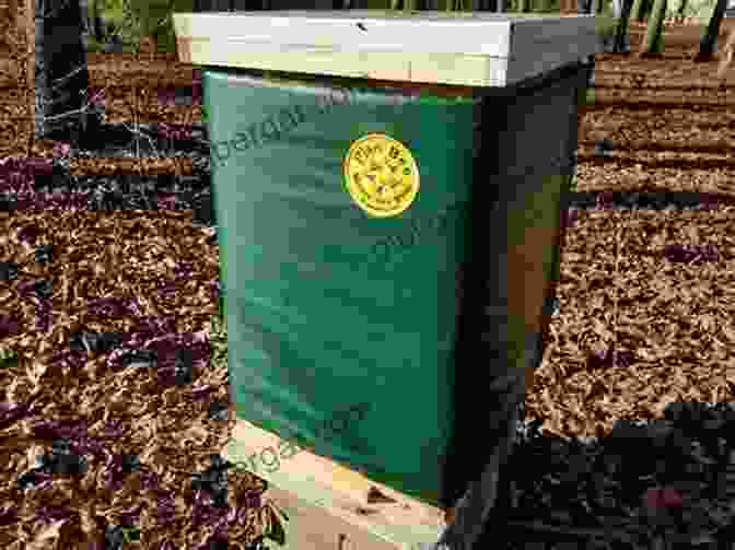 Image Of A Beehive Covered In Straw For Winter Protection Common Sense Natural Beekeeping: Sustainable Bee Friendly Techniques To Help Your Hives Survive And Thrive