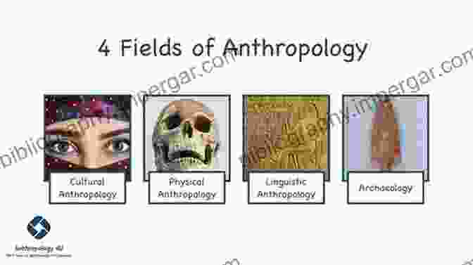 Image Representing Diverse Anthropological Theories Visions Of Culture: An To Anthropological Theories And Theorists