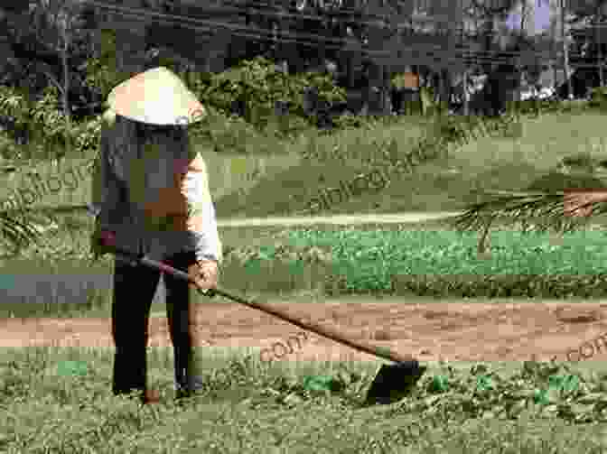 Local Farmers Using Traditional Tools And Techniques To Cultivate Their Land, Showcasing The Deep Rooted Agricultural Heritage Of The Community The Last Hunger Season: A Year In An African Farm Community On The Brink Of Change