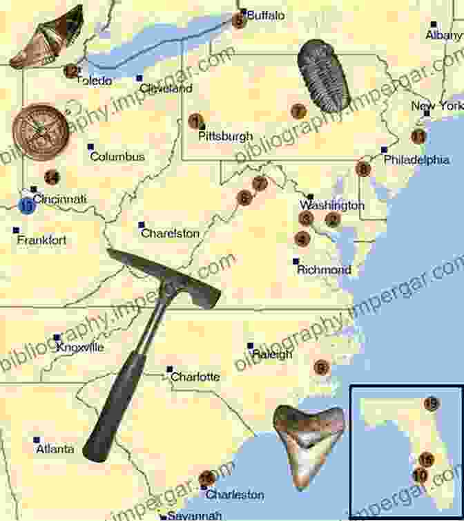 Map Of Fossil Hunting Locations Around The World Fossil Hunting 101: A Guide For The Absolute Newbie