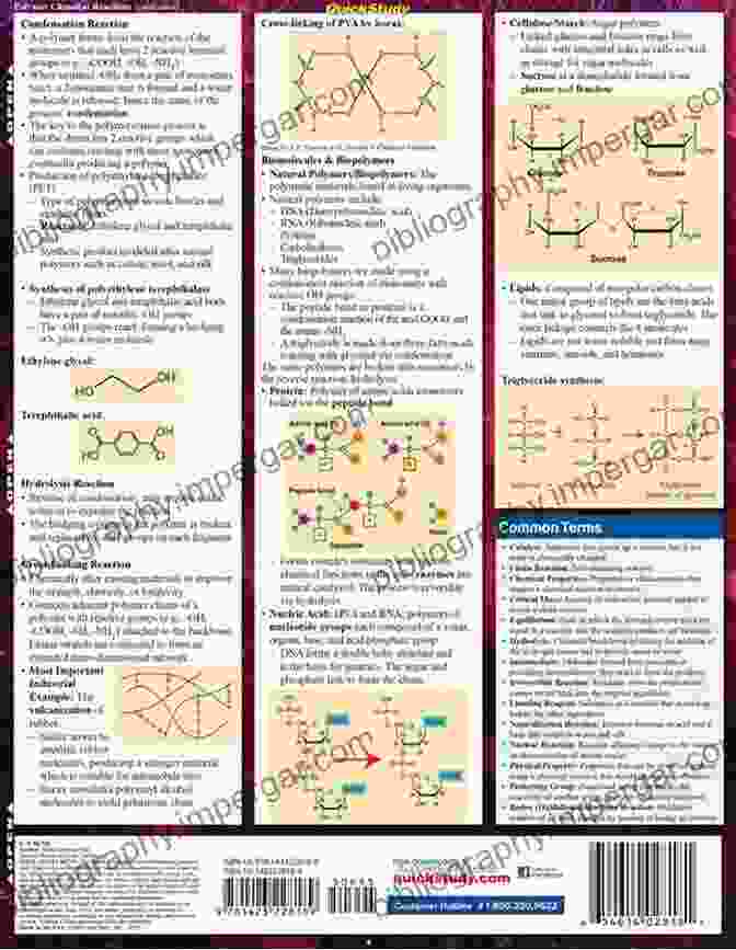 Organic Chemistry Speedy Study Guide: A Comprehensive Guide To Mastering Organic Chemistry Concepts Chemistry (Speedy Study Guides) (Organic Chemistry Guide)