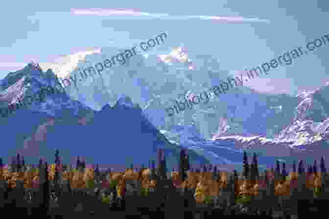 Panoramic View Of The Denali Mountain Range In Interior Alaska Living In The Wilderness: Life In The Vast Wilderness Of Interior Alaska