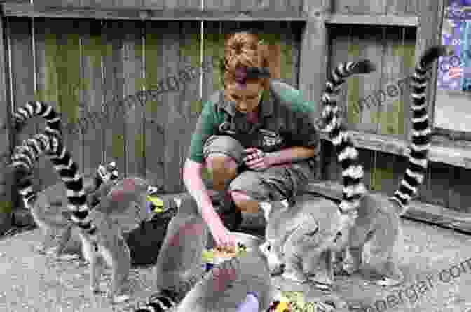 Photo Of A Group Of Visitors Observing Animals In A Zoo Enclosure An To Zoo Biology And Management