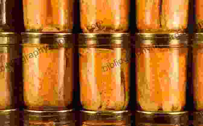 Preserved Meat, Fish, And Poultry In Jars Home Canning And Preserving Recipes For Beginners 2 In 1 Set: Home Canning And Preserving Recipes For Beginners (Vol 1) And Home Canning And Preserving Recipes For Beginners (Vol 2)