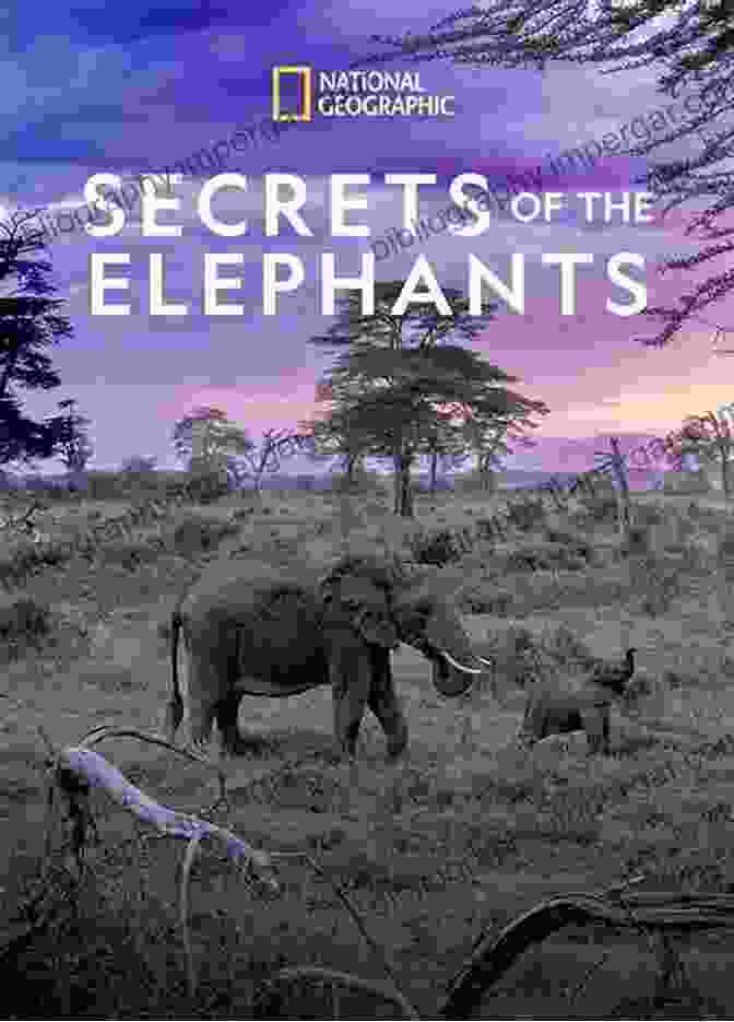 Renowned Author Unveils The Secrets Of Elephants Beyond The Secret Elephants: On Mystery Elephants And Discovery