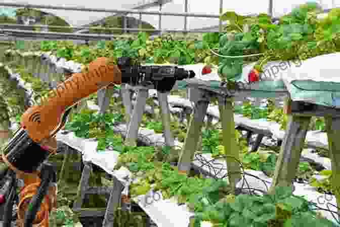 Robotic Farming Automates Tasks And Enhances Precision In Agricultural Operations. Underexploited Spice Crops: Present Status Agrotechnology And Future Research Directions (Innovations In Horticultural Science)