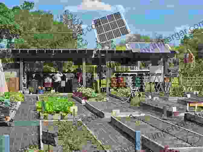 Self Sufficient Territory With Community Gardens And Renewable Energy Sources Dreams Of Disconnection: From The Autonomous House To Self Sufficient Territories (Manchester University Press)