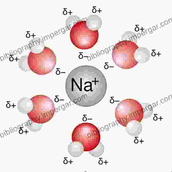 Solvation Mechanisms Ions In Solution And Their Solvation