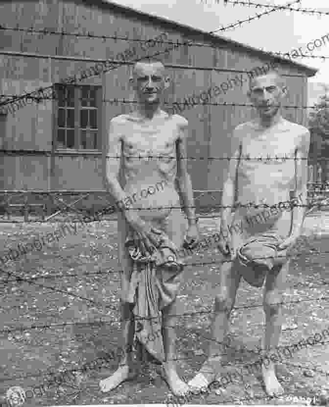 Starvation Victims In Auschwitz The Panzer III: Hitler S Beast Of Burden (Images Of War)