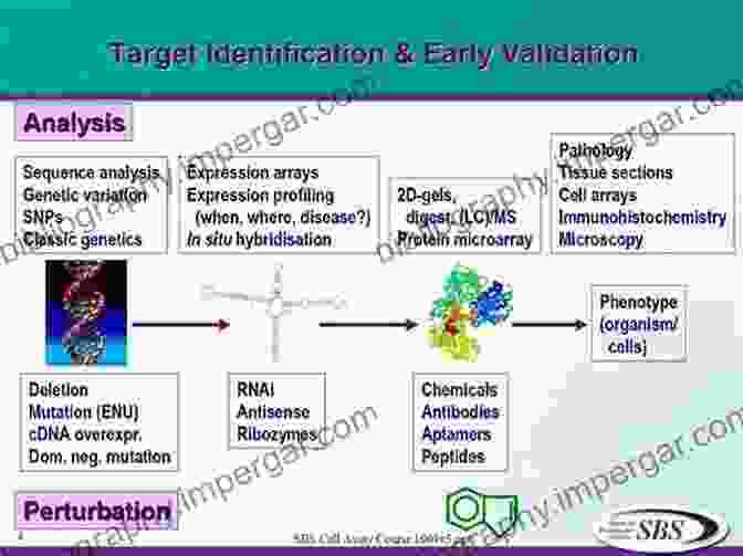 Target Identification And Validation In Applied Chemoinformatics Applied Chemoinformatics: Achievements And Future Opportunities