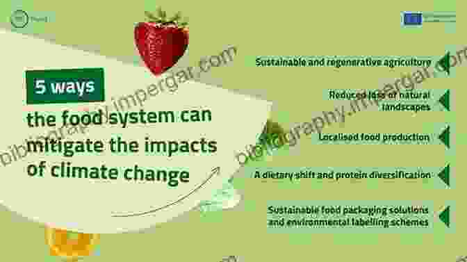 The Built Environment And Food Choices Pesticide Chemistry And Bioscience: The Food Environment Challenge (Woodhead Publishing In Food Science Technology And Nutrition)