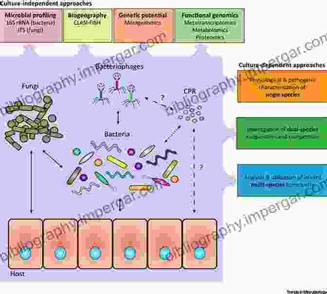 The Oral Microbiome, A Complex Ecosystem Of Microorganisms That Inhabit The Human Mouth Clinical Oral Microbiology T Wallace MacFarlane