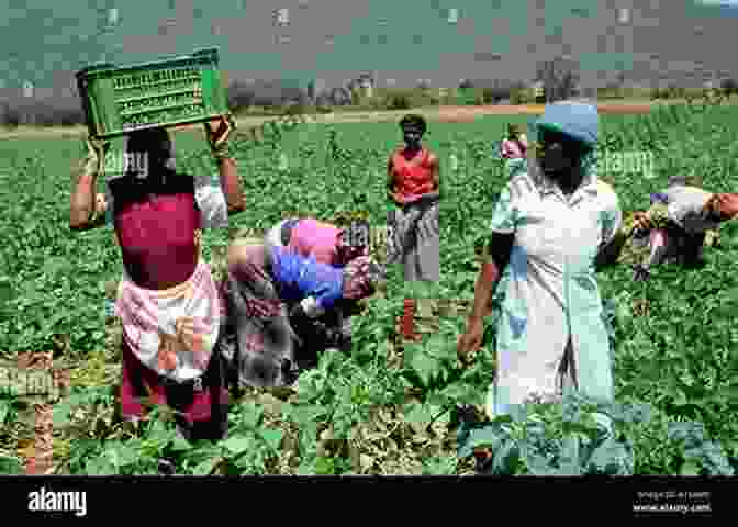 Vibrant African Farm Community Engaged In Daily Activities, Showcasing Traditional Practices And Modern Influences The Last Hunger Season: A Year In An African Farm Community On The Brink Of Change