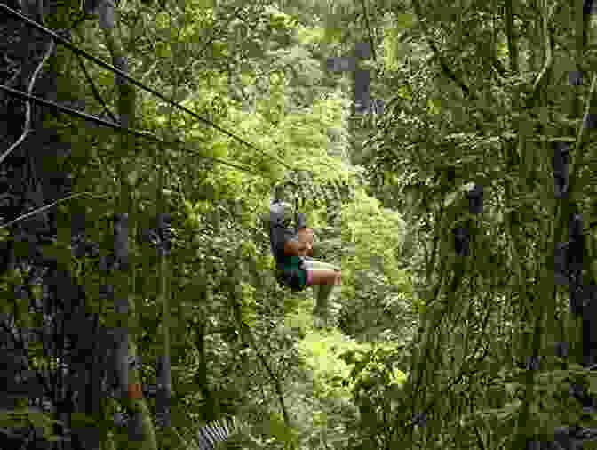 Zip Lining Through The Belizean Rainforest Belize Land Of The Maya