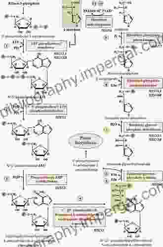 The Porphyrin Handbook: Chlorophylls And Bilins: Biosynthesis Synthesis And Degradation