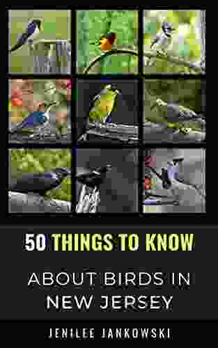 50 Things to Know About Birds in New Jersey : Birding in the Garden State (50 Things to Know About Birds United States)