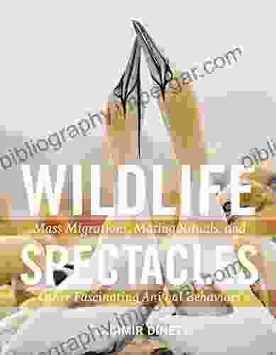 Wildlife Spectacles: Mass Migrations Mating Rituals and Other Fascinating Animal Behaviors