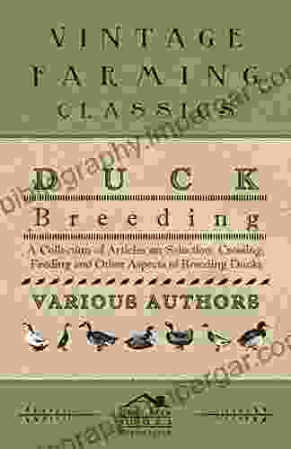 Duck Breeding A Collection Of Articles On Selection Crossing Feeding And Other Aspects Of Breeding Ducks