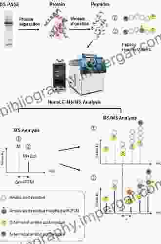 Characterization Of Protein Therapeutics Using Mass Spectrometry