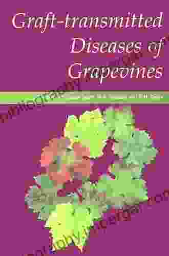 Graft Transmitted Diseases Of Grapevines Mary Wissinger