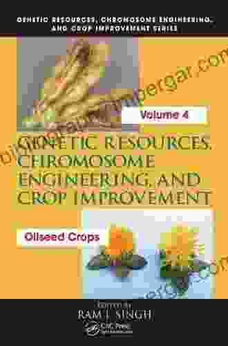 Genetic Resources Chromosome Engineering And Crop Improvement: Oilseed Crops Volume 4 (Genetic Resources Chromosome Engineering Crop Improvement)