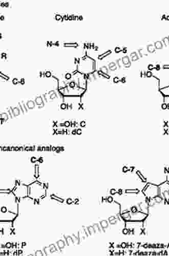 Palladium Catalyzed Modification Of Nucleosides Nucleotides And Oligonucleotides