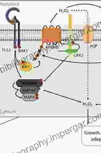 Reactive Oxygen Species In Plant Signaling (Signaling And Communication In Plants)