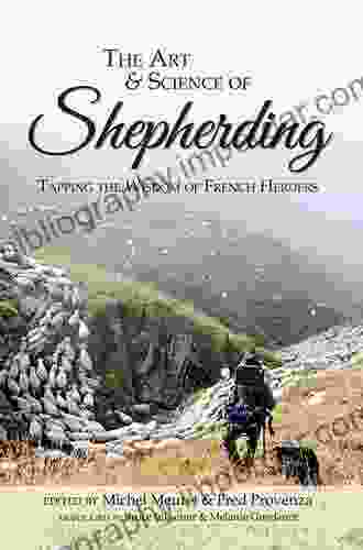 The Art And Science Of Shepherding: Tapping The Wisdom Of French Herders