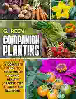 Companion Planting: A Complete Guide To Growing Organic Healthy And Rewarding Garden Tips Tricks For Beginners (Green Thumb Collection 1)