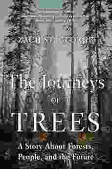 The Journeys Of Trees: A Story About Forests People And The Future