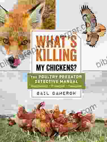 What s Killing My Chickens?: The Poultry Predator Detective Manual