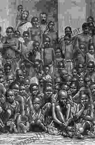 The Slave Trade And Culture In The Bight Of Biafra: An African Society In The Atlantic World