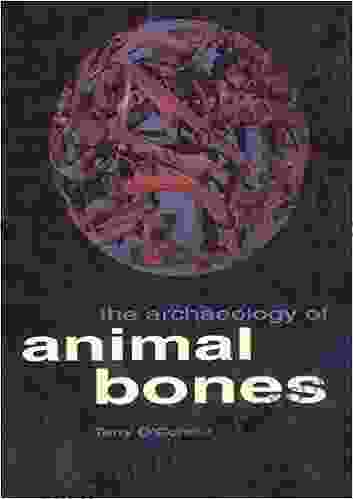 The Archaeology Of Animal Bones (Texas A M University Anthropology 4)